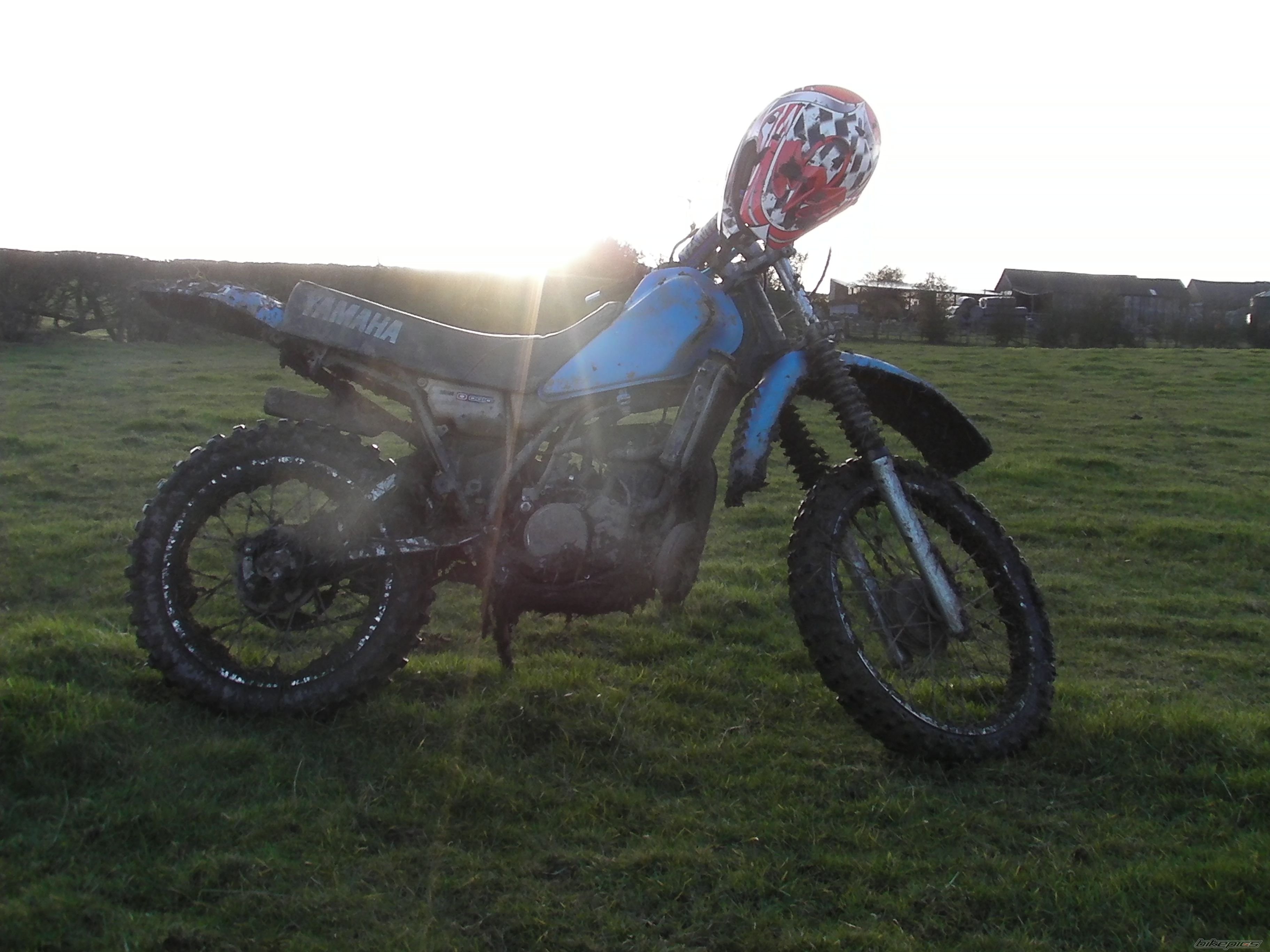 Photo 2460424