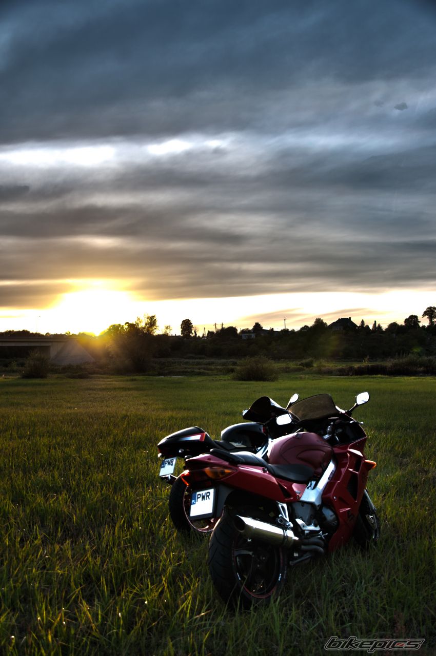 Photo 2460439