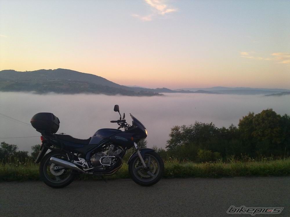 Photo 2460553