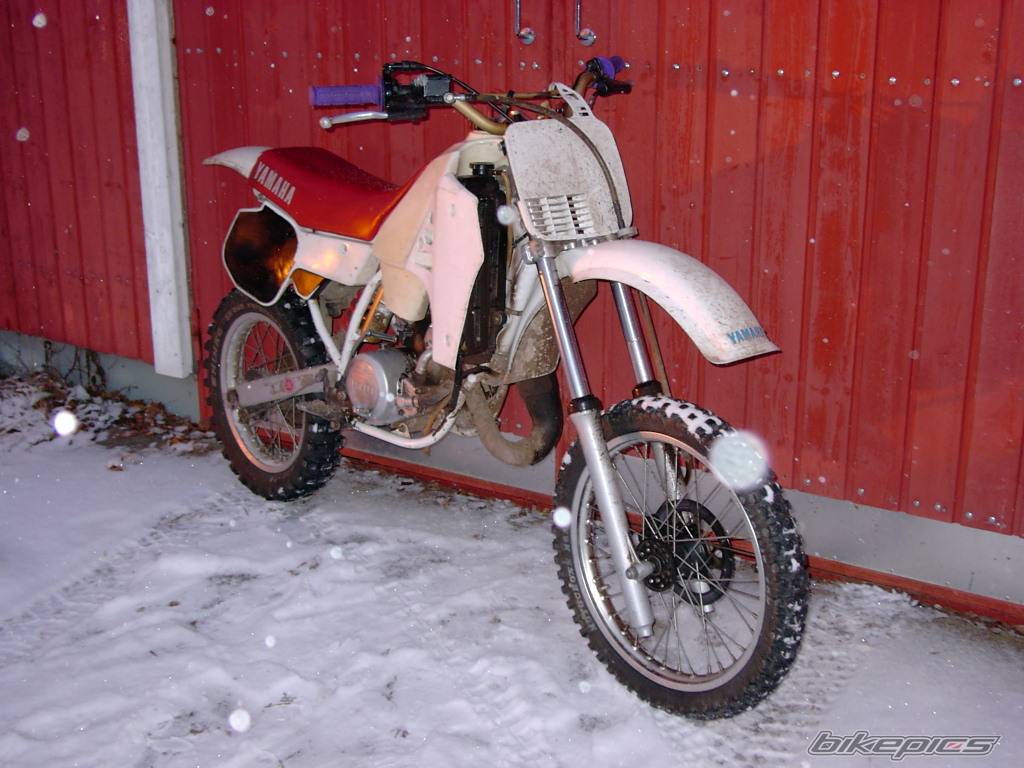 Bike Photo 246058