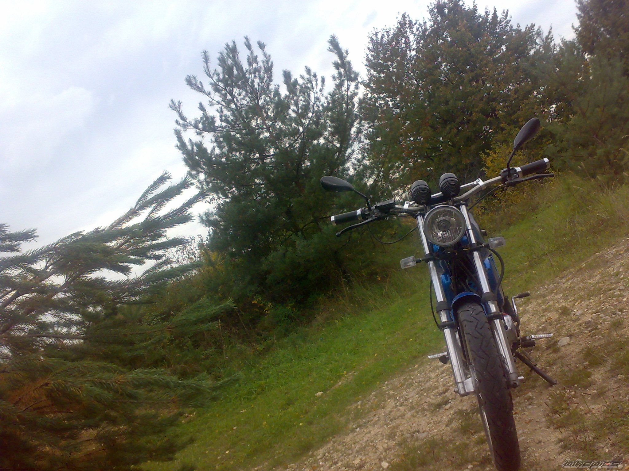 Photo 2460587