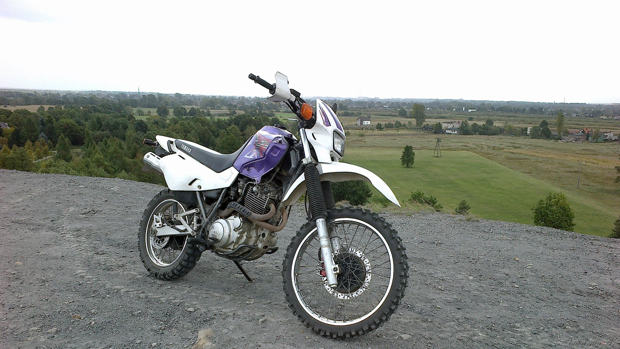 Photo 2460807