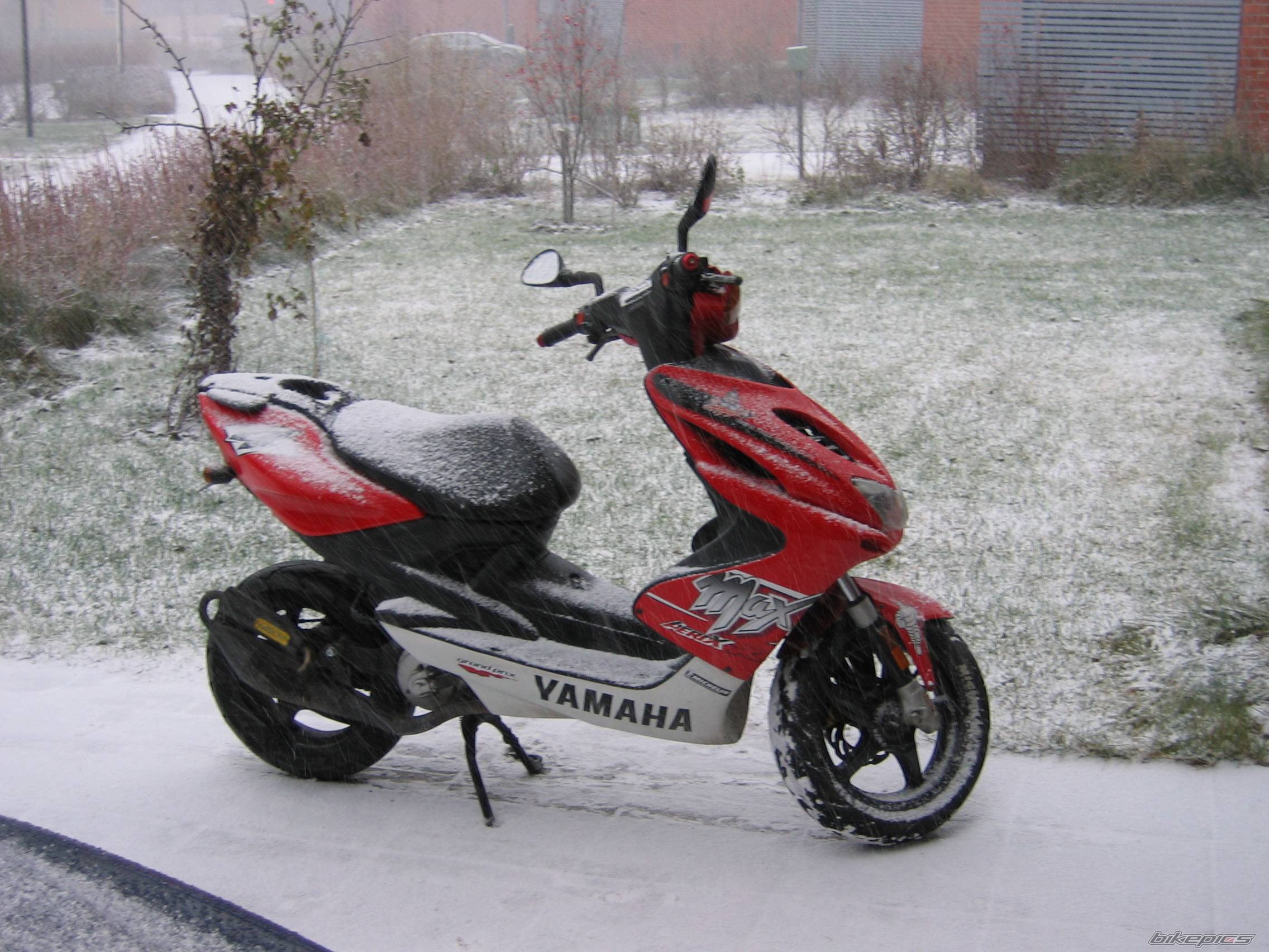 Bike Photo 246082