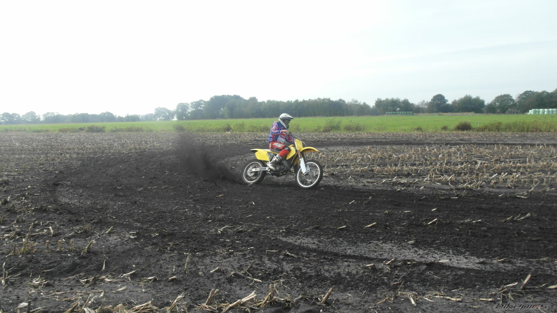 Photo 2460839