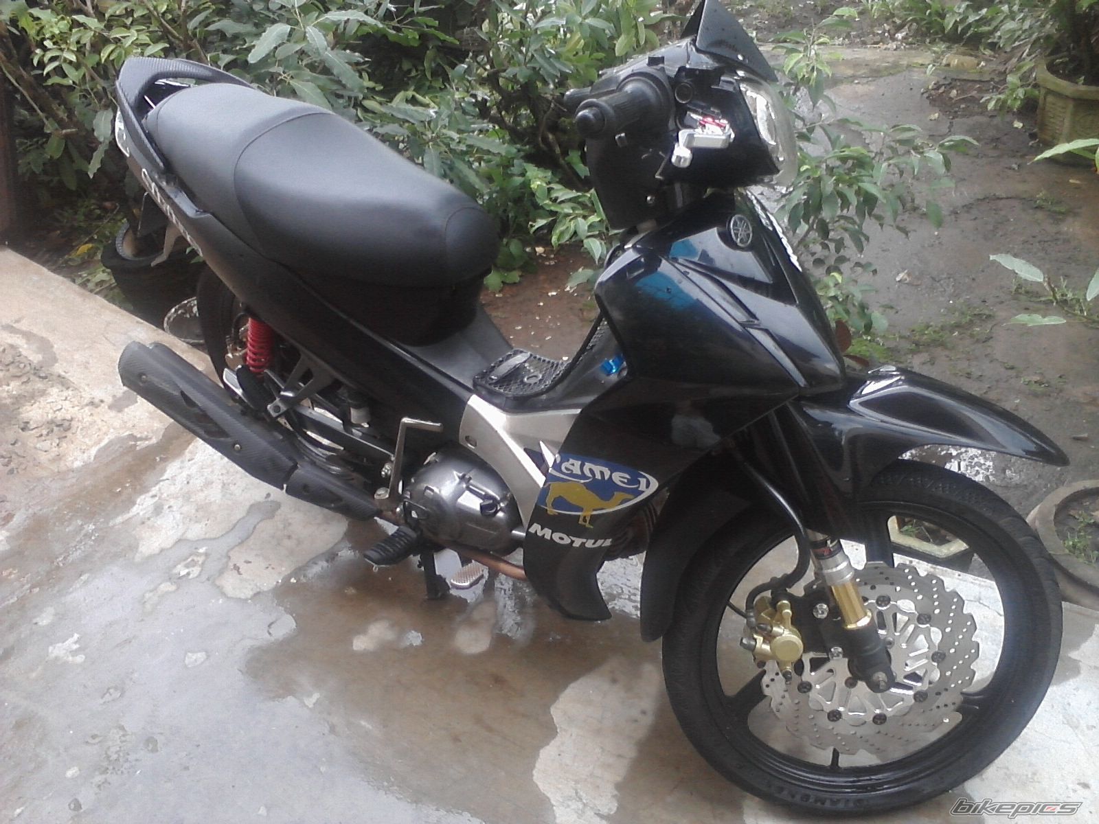 Photo 2460847