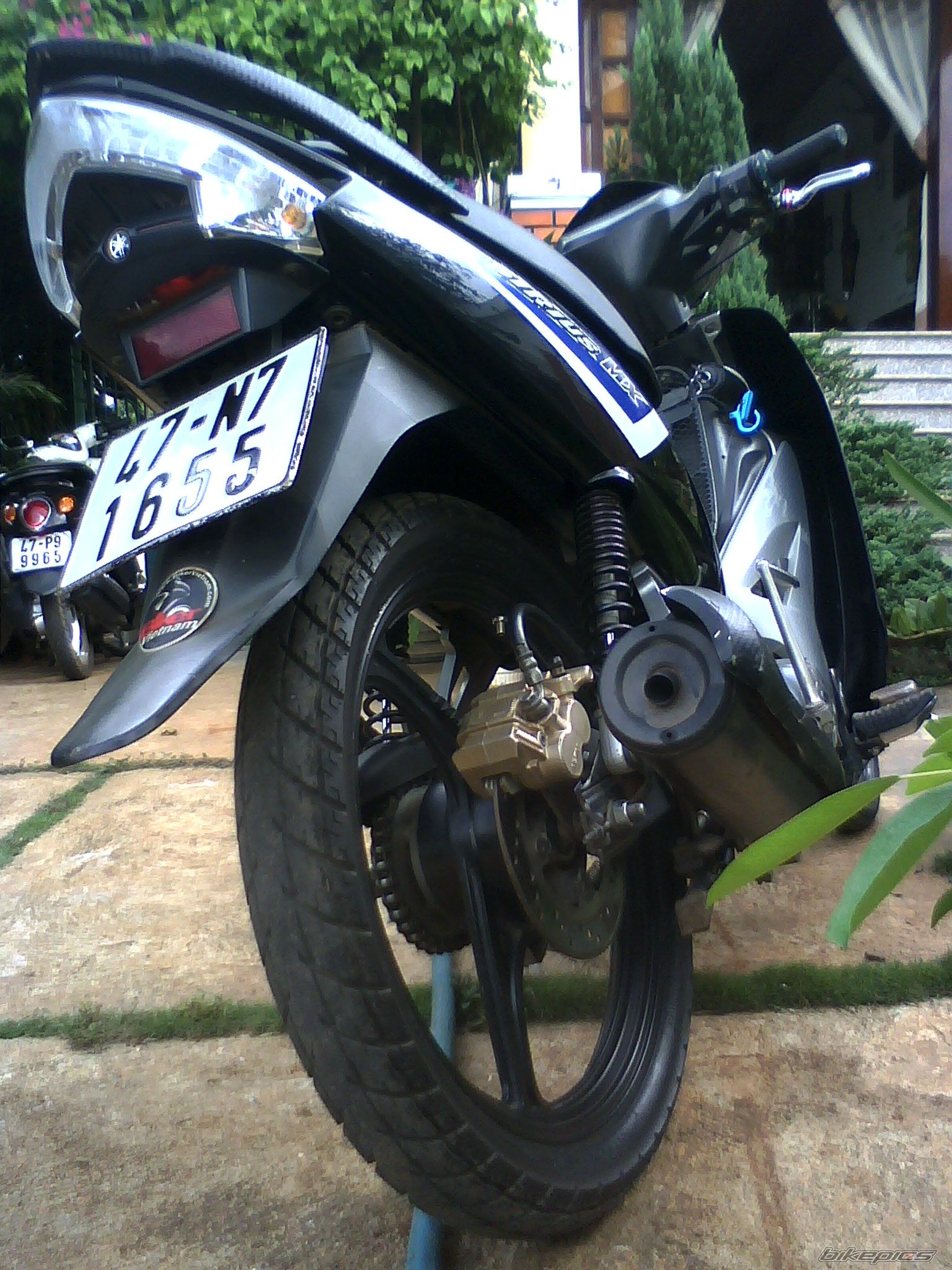 Photo 2460849