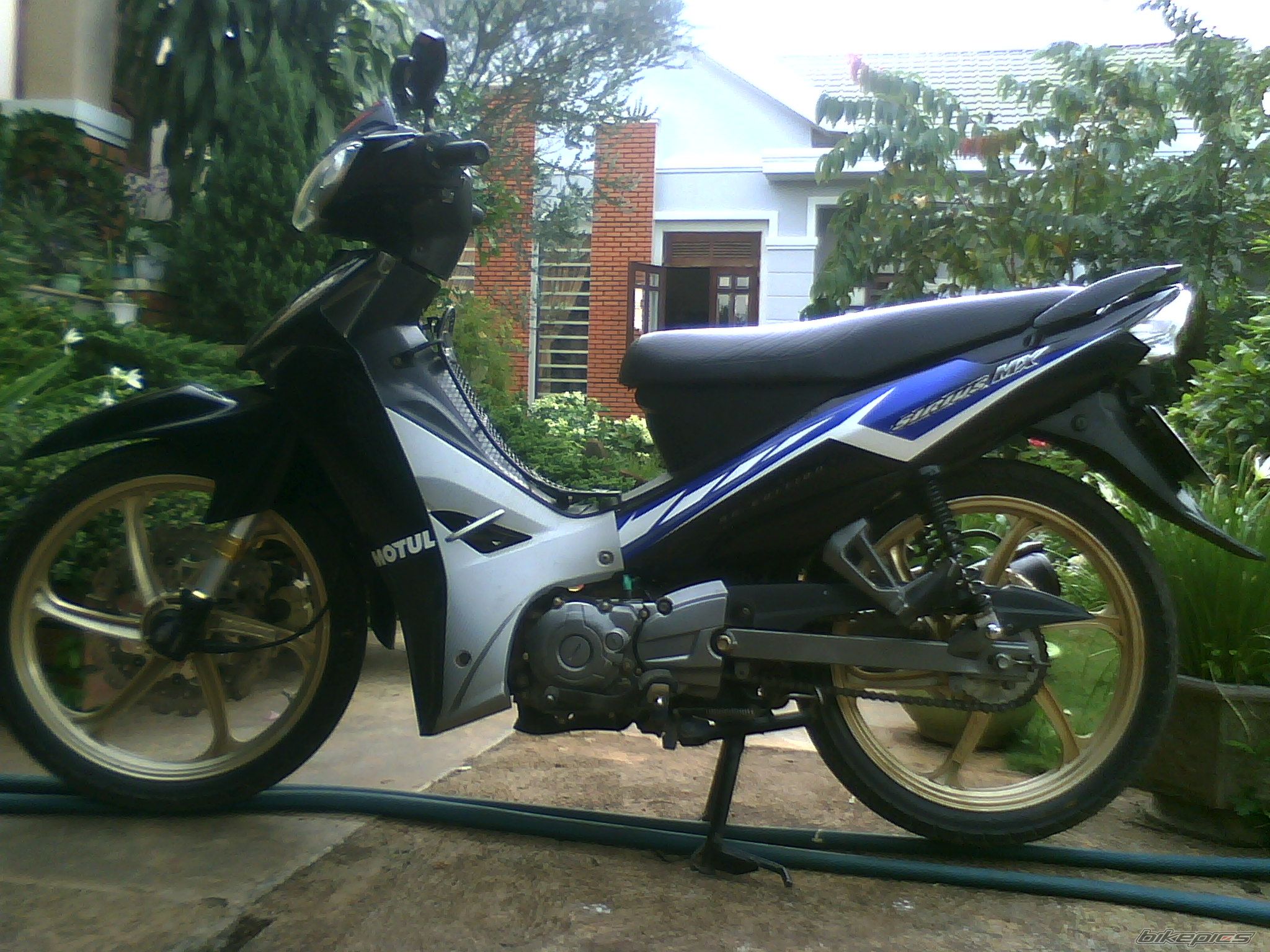 Photo 2460851