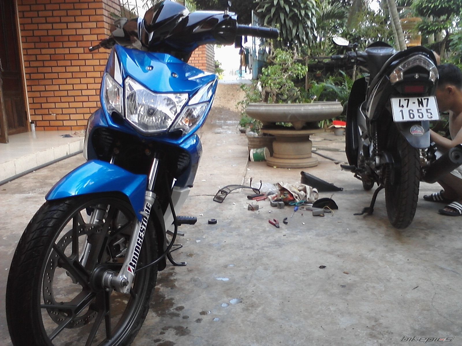 Photo 2460853