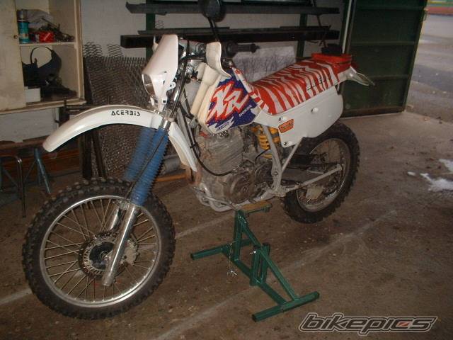 Photo 246087