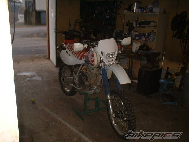 Photo 246088