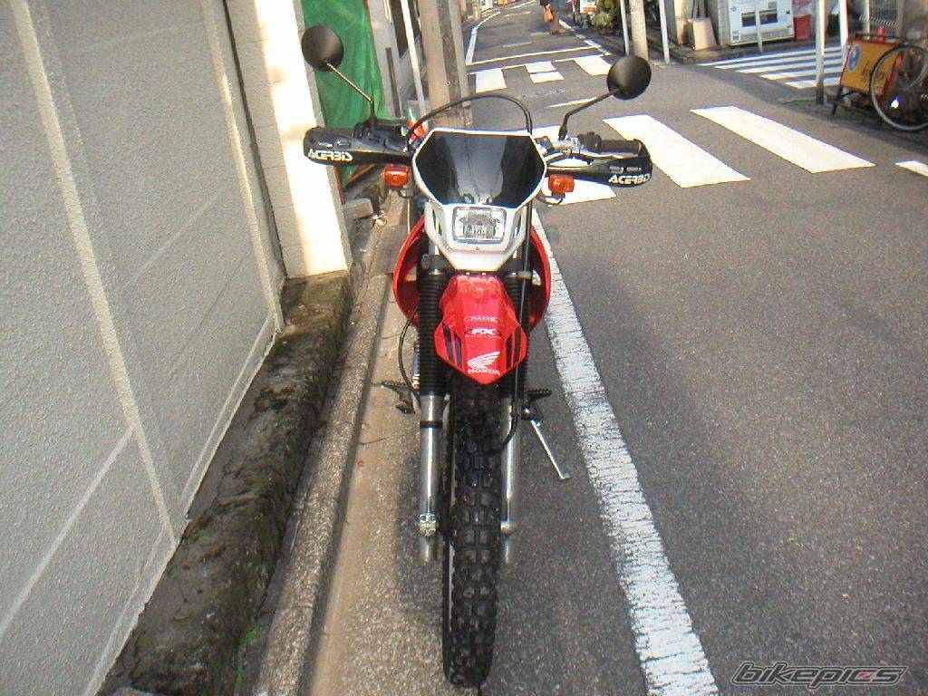 Photo 246095