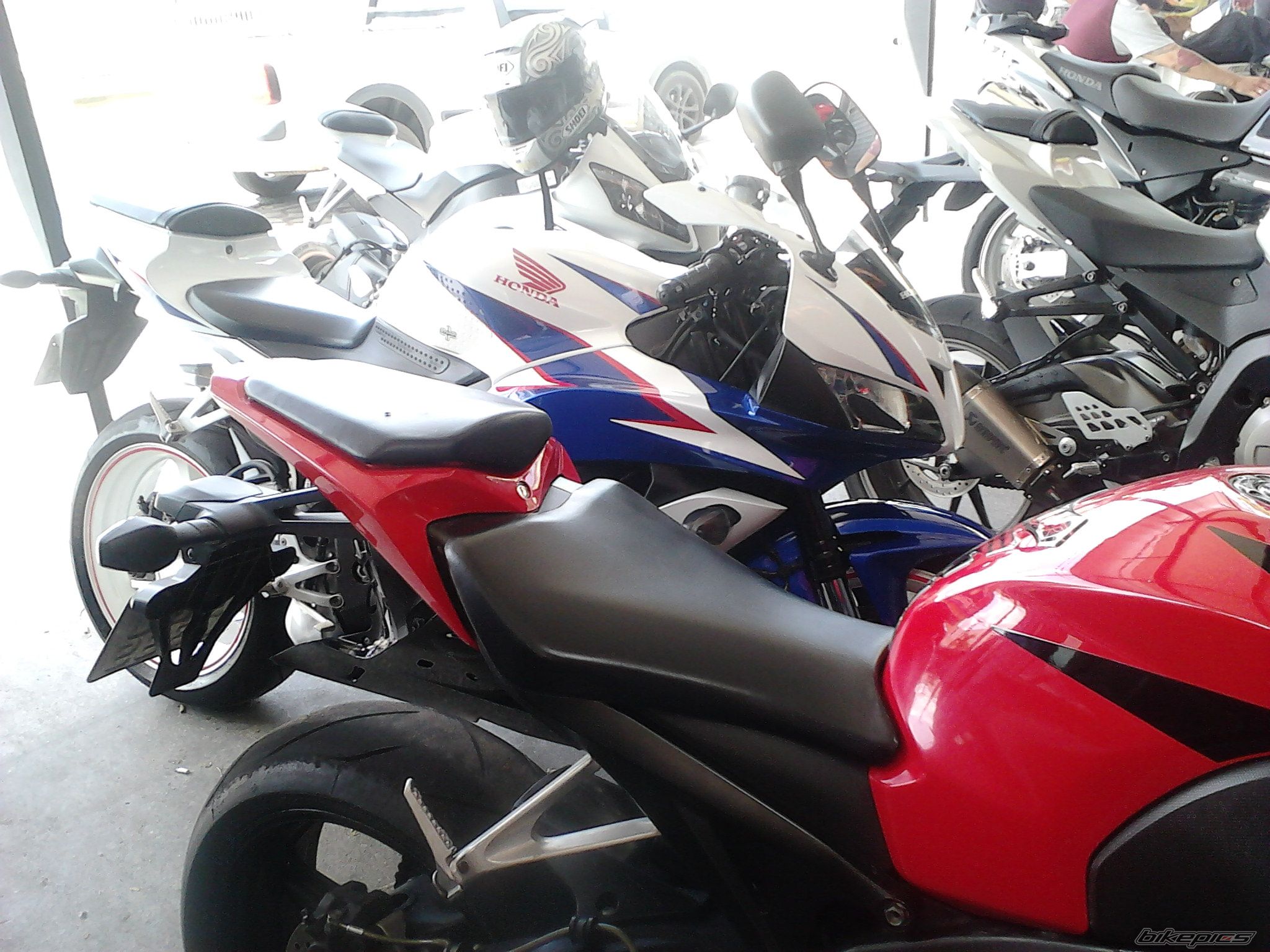 Photo 2460968