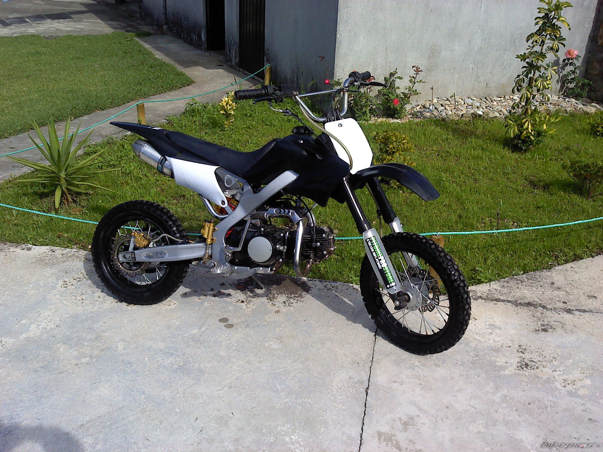 Photo 2460989