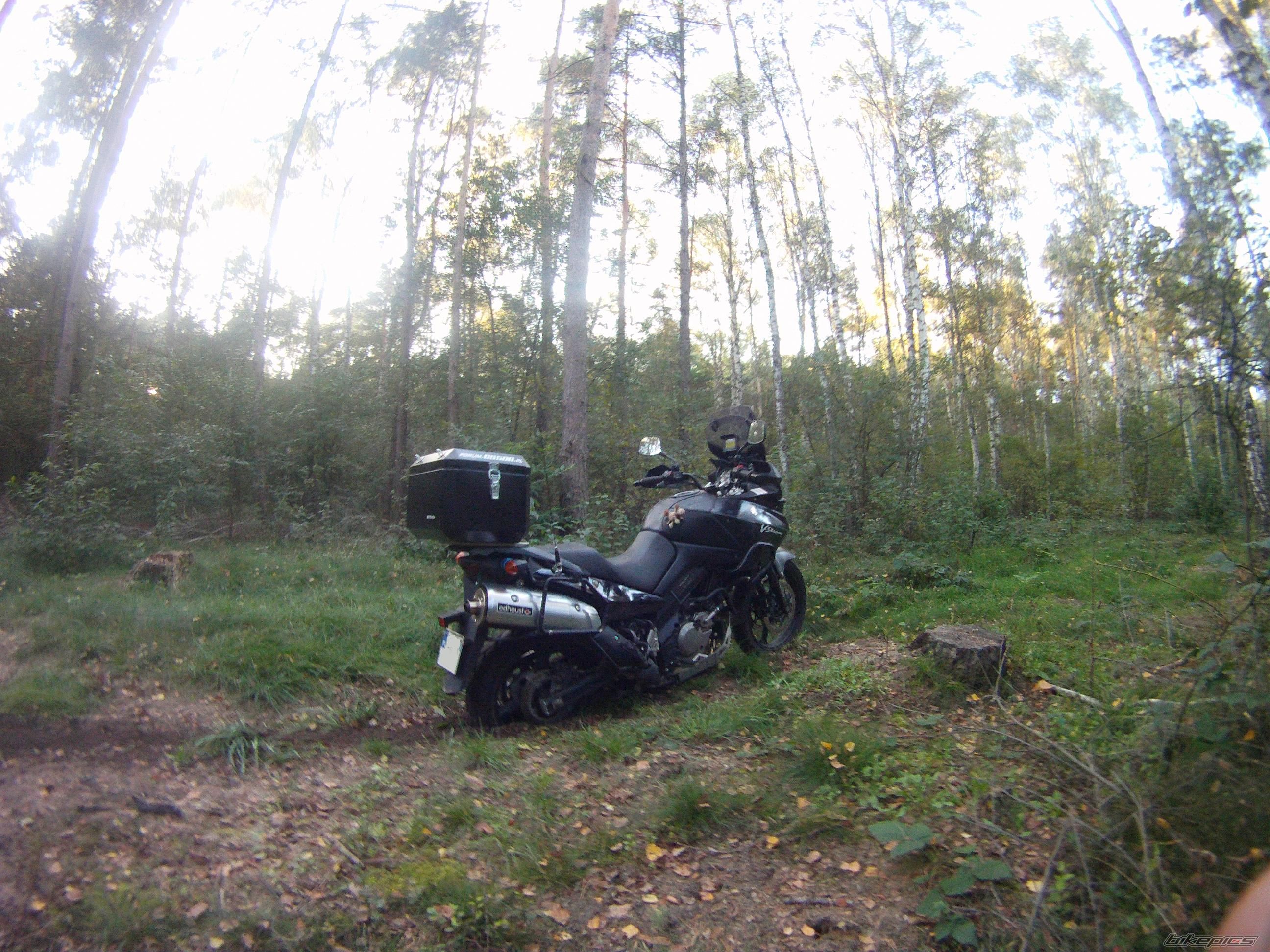 Photo 2461043