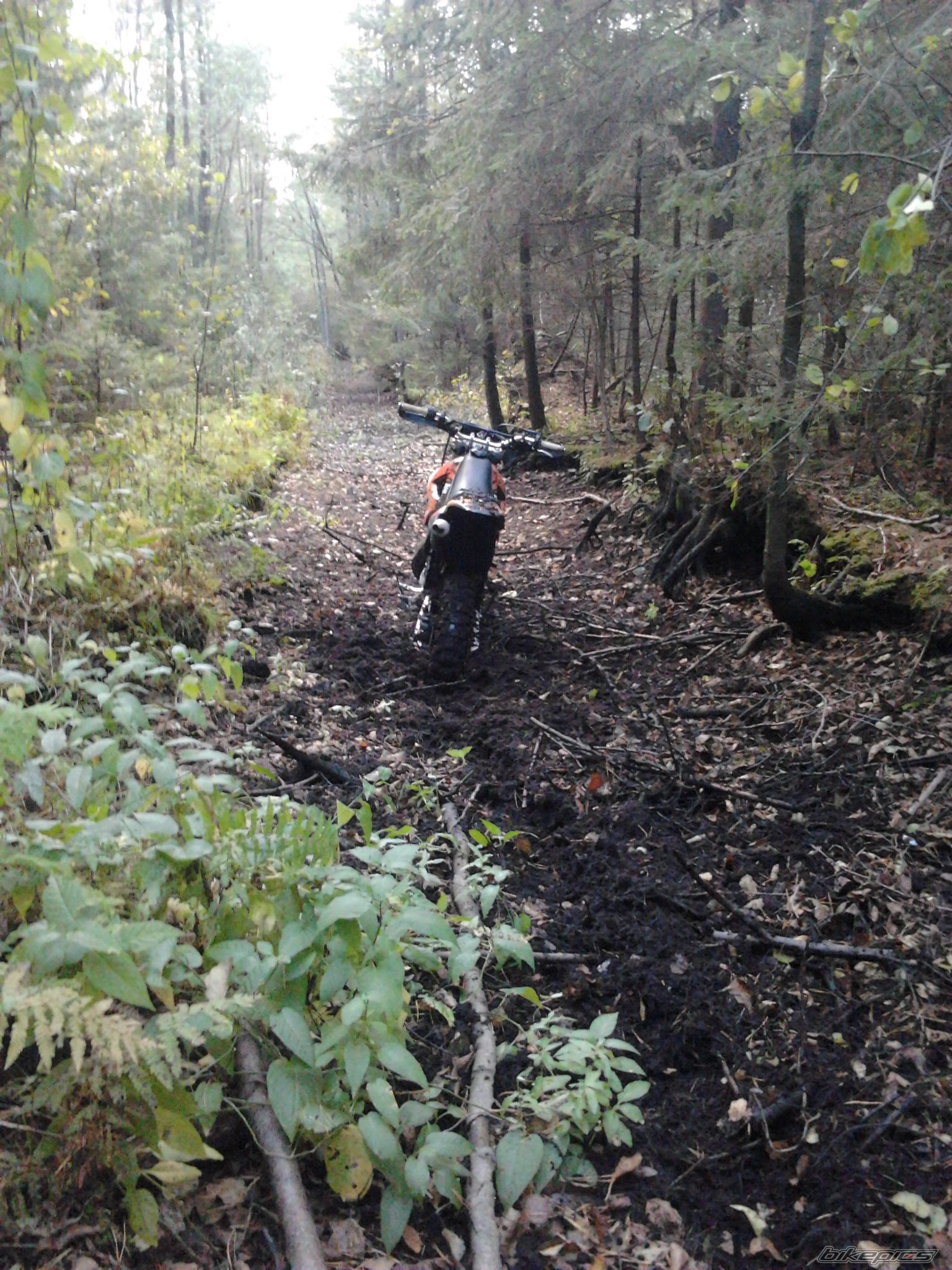 Photo 2461044