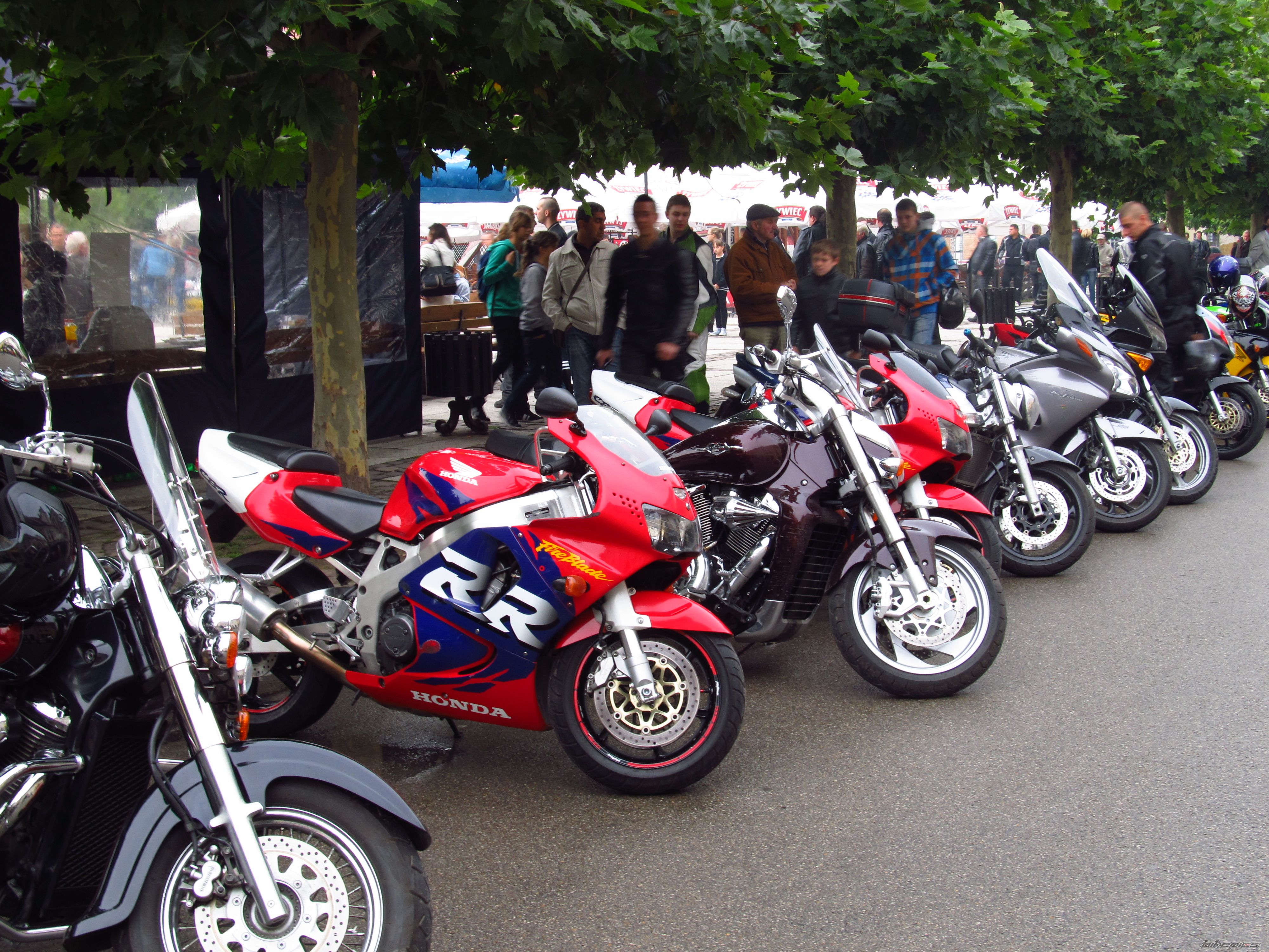Photo 2461147