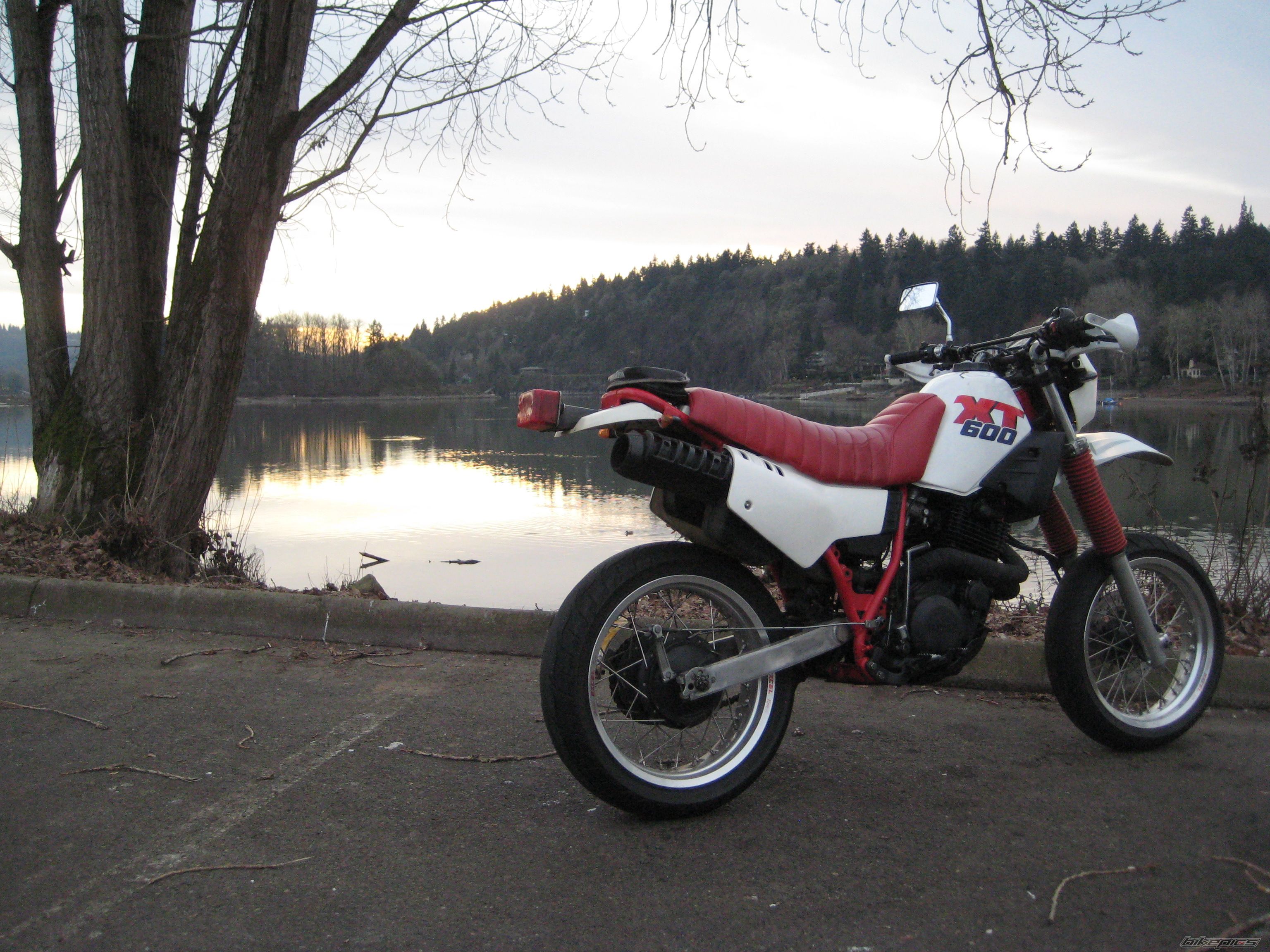 Photo 2461224