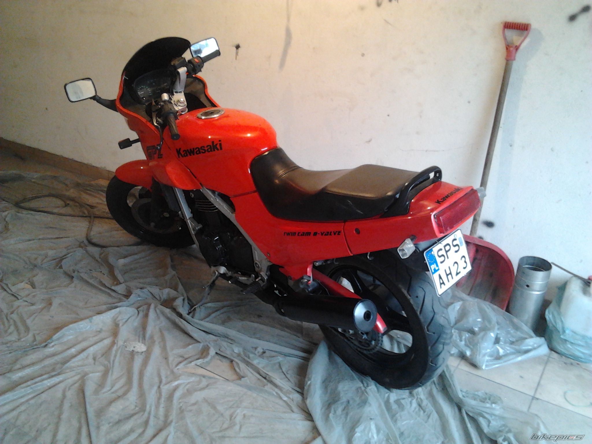 Photo 2461258