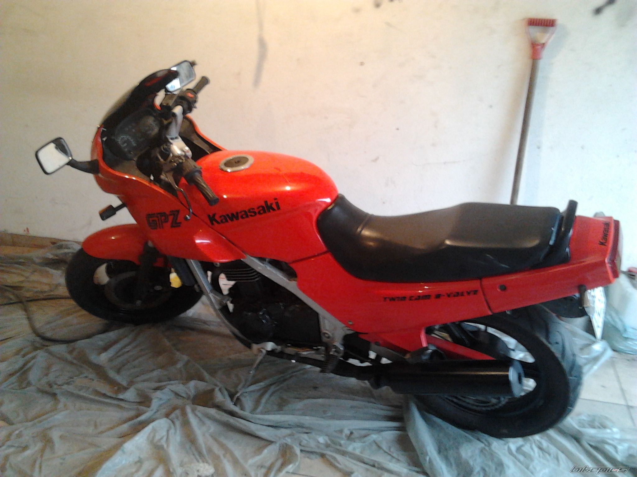 Photo 2461259