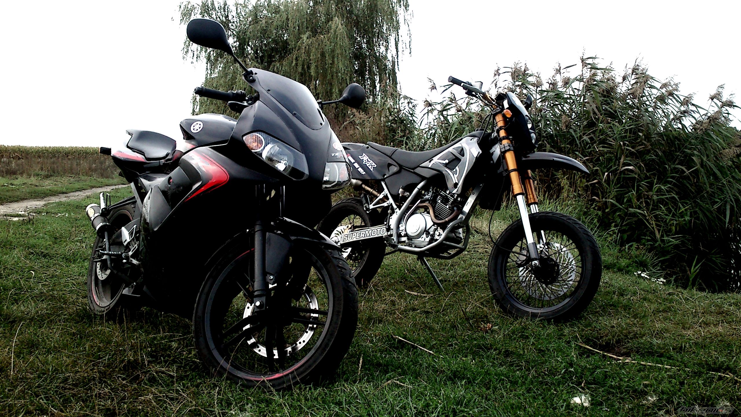 Bike Photo 2461269