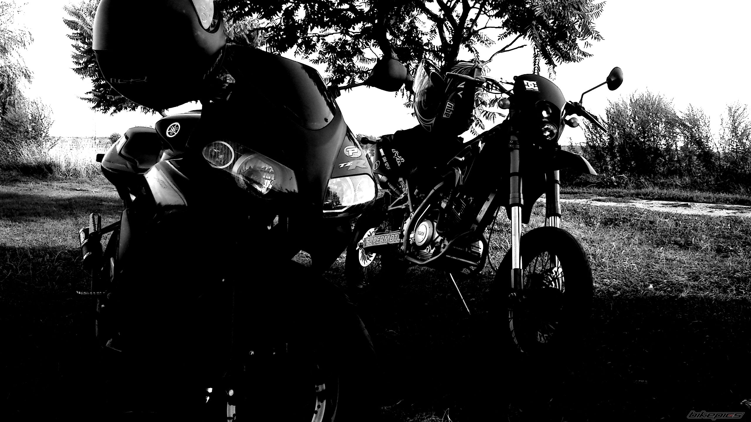 Bike Photo 2461270