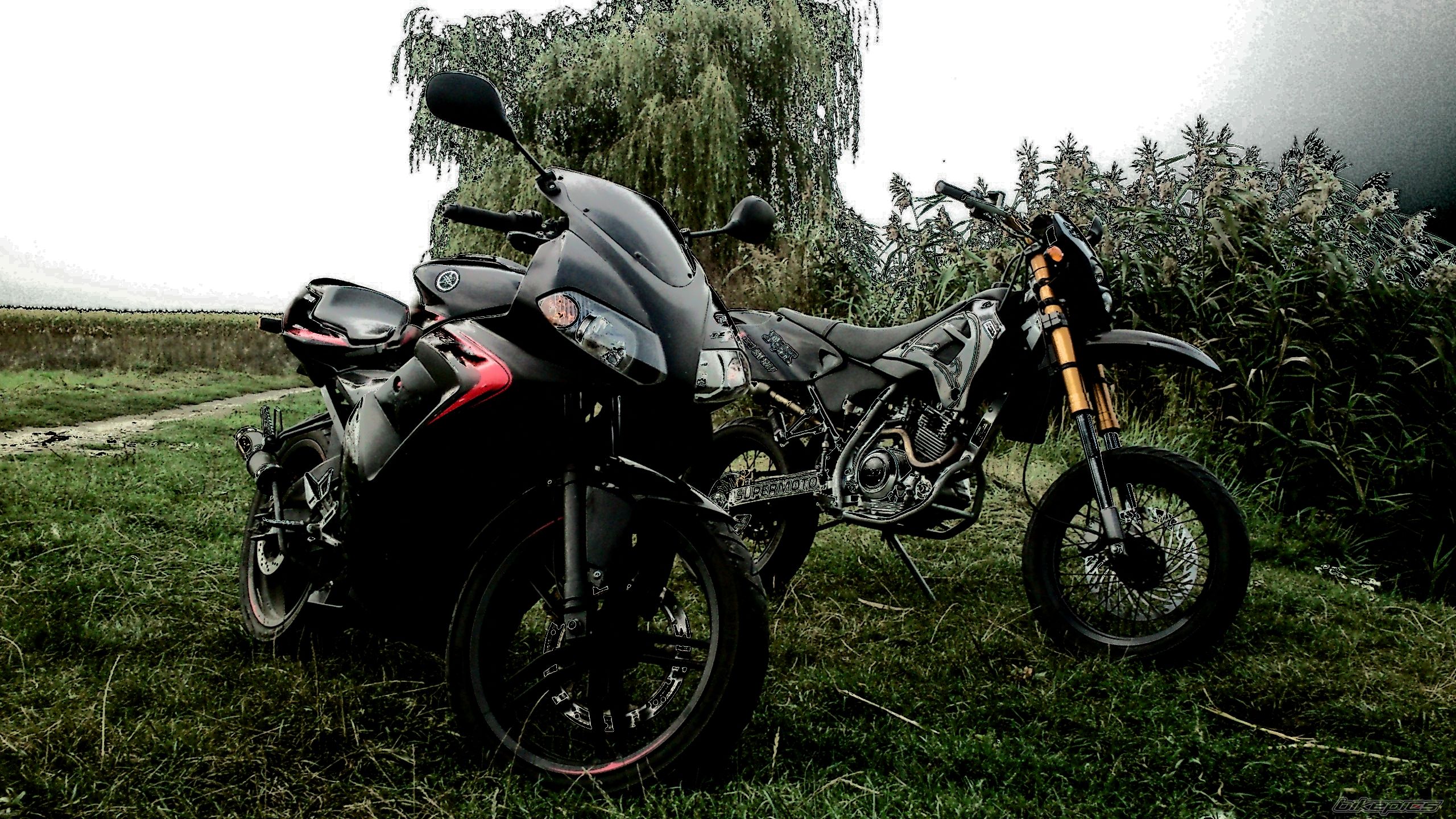 Bike Photo 2461272