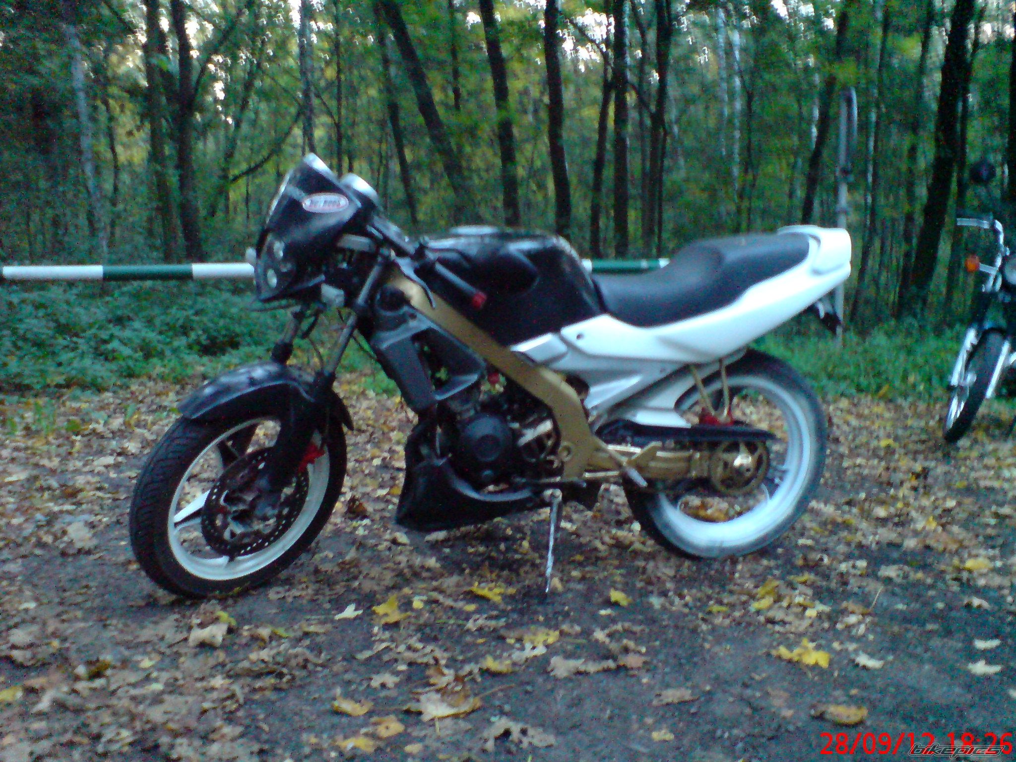 Photo 2461275