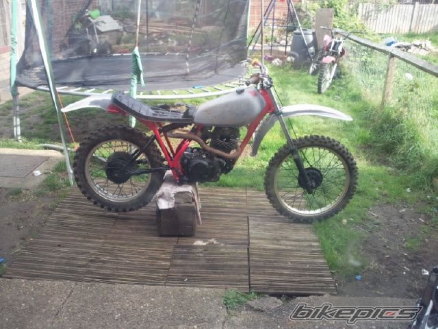 Photo 2461280