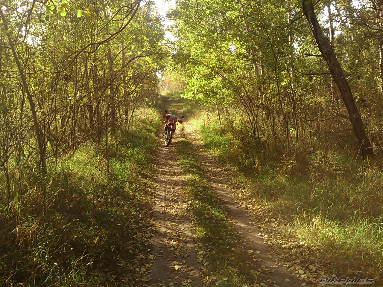 Bike Photo 2461345