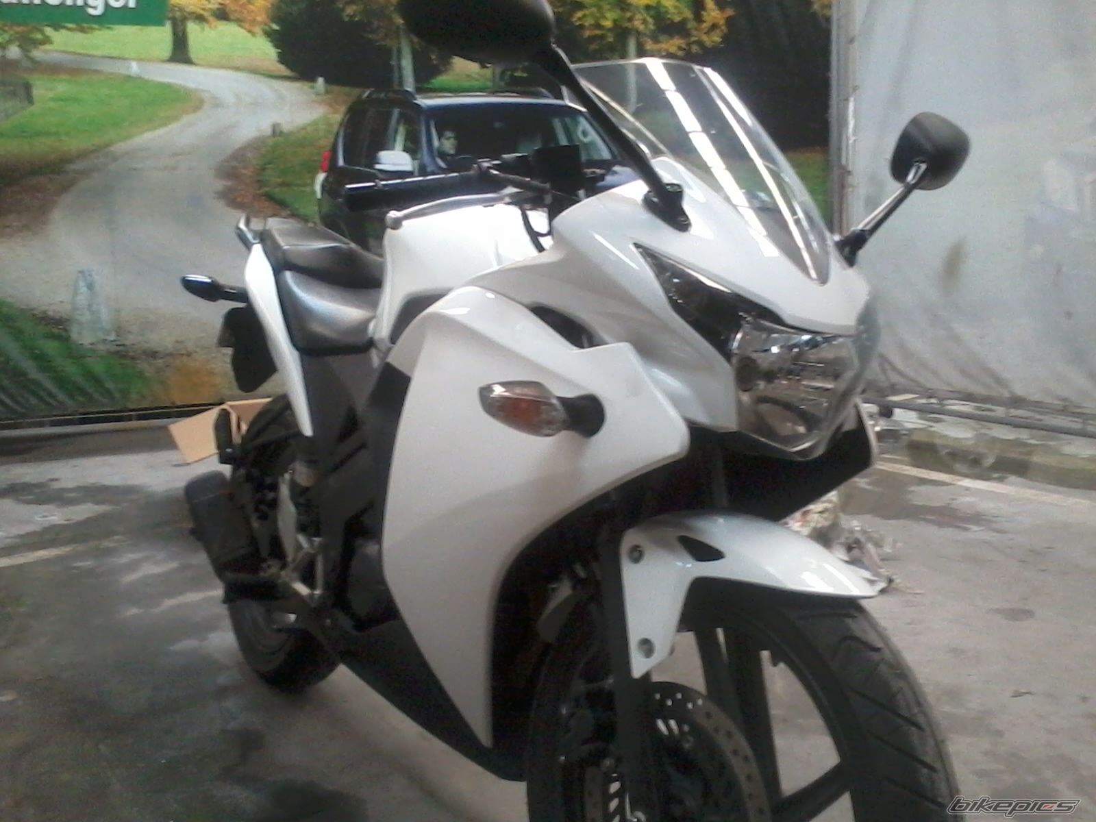 Photo 2461359