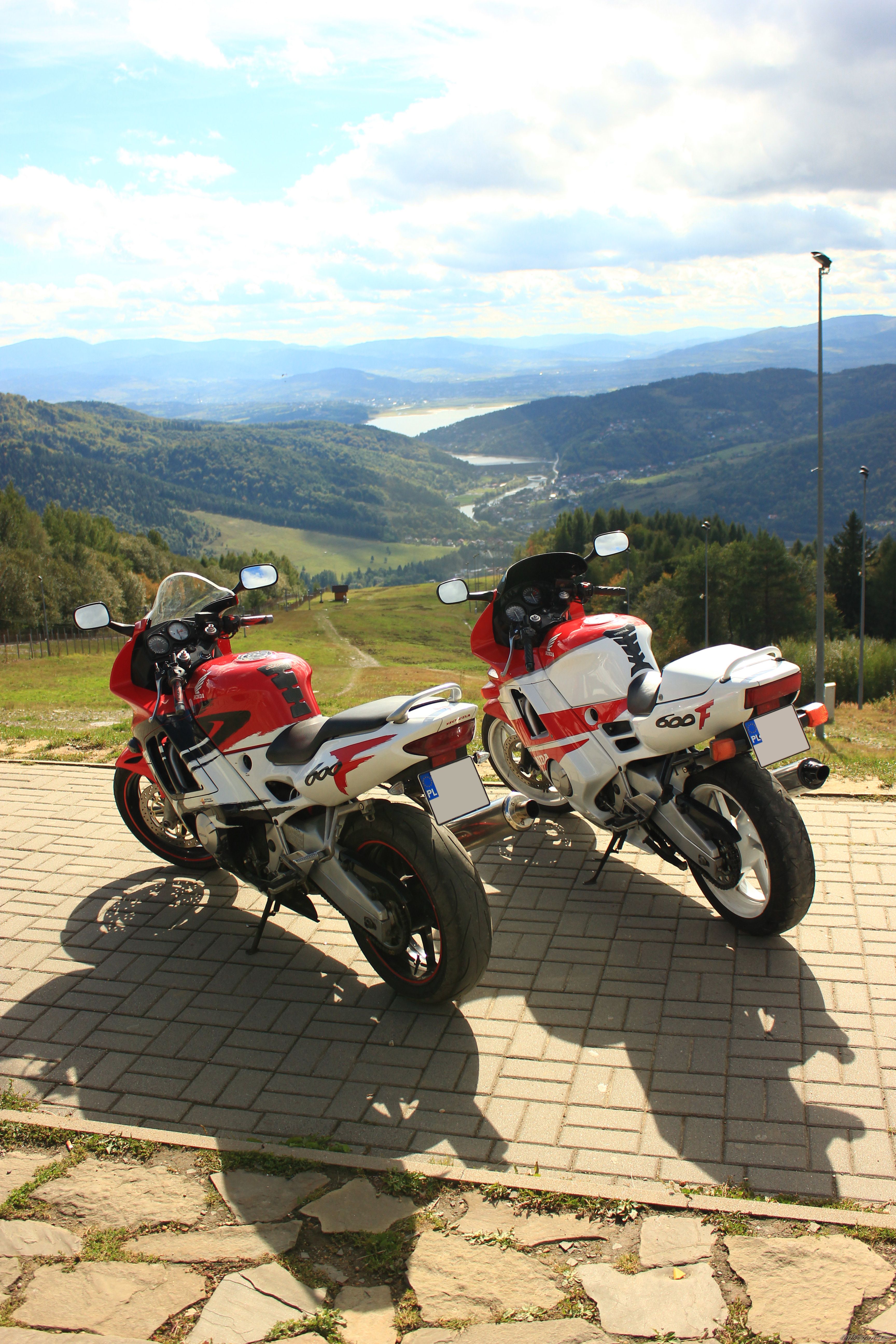 Photo 2461462