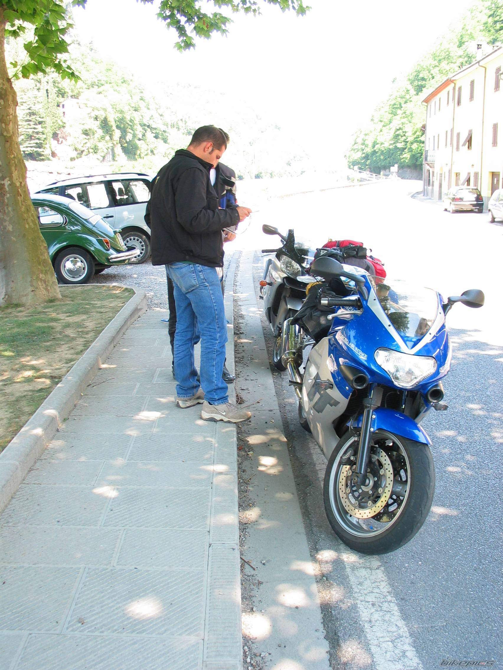 Photo 246151