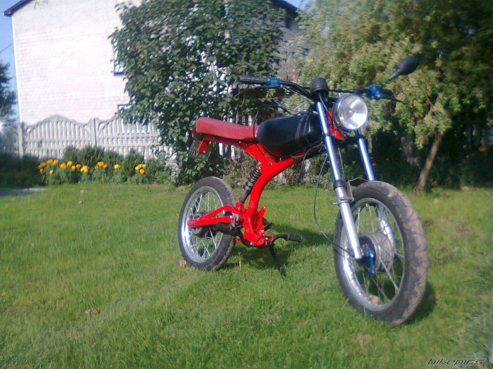 Photo 2461517