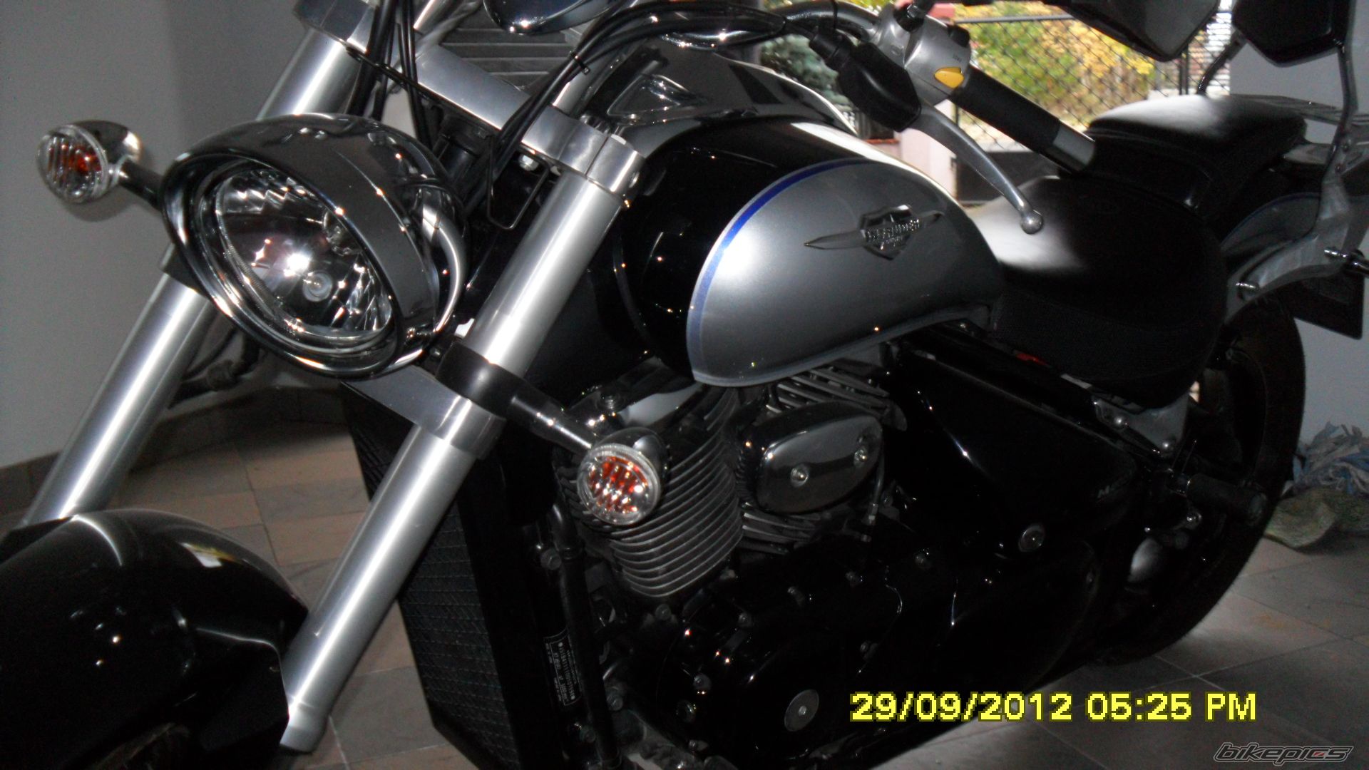 Photo 2461539