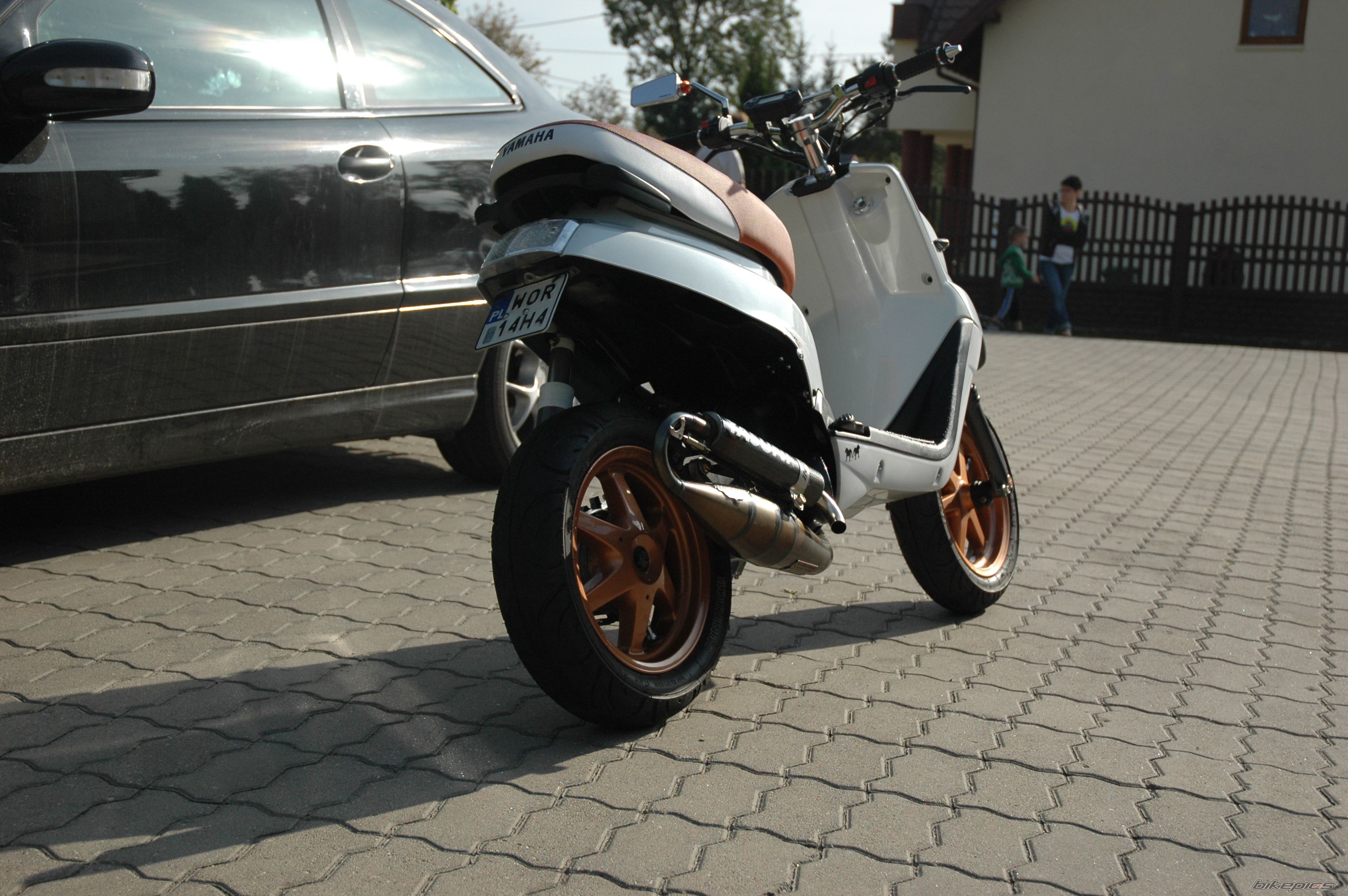 Photo 2461553