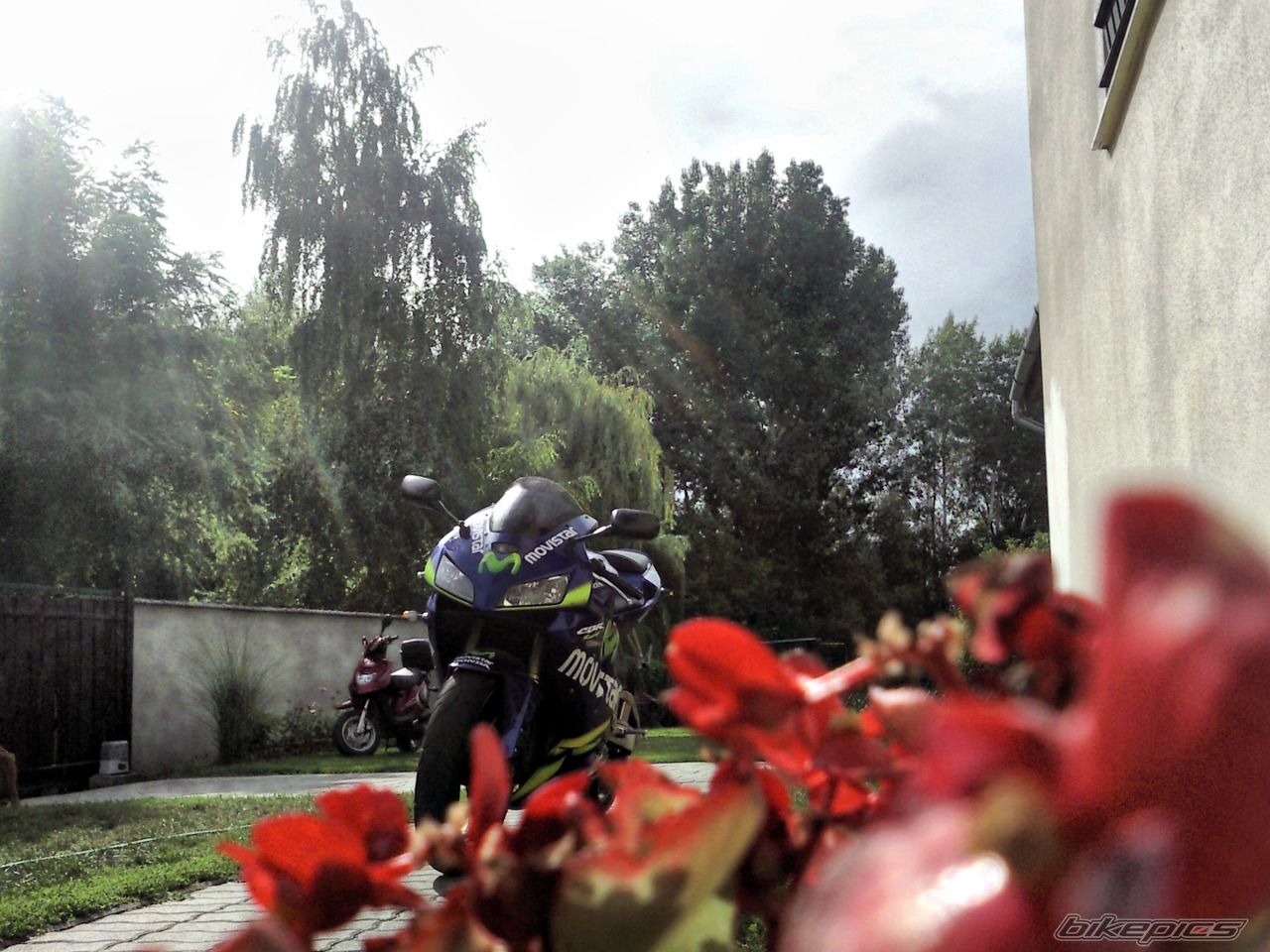 Bike Photo 2461579