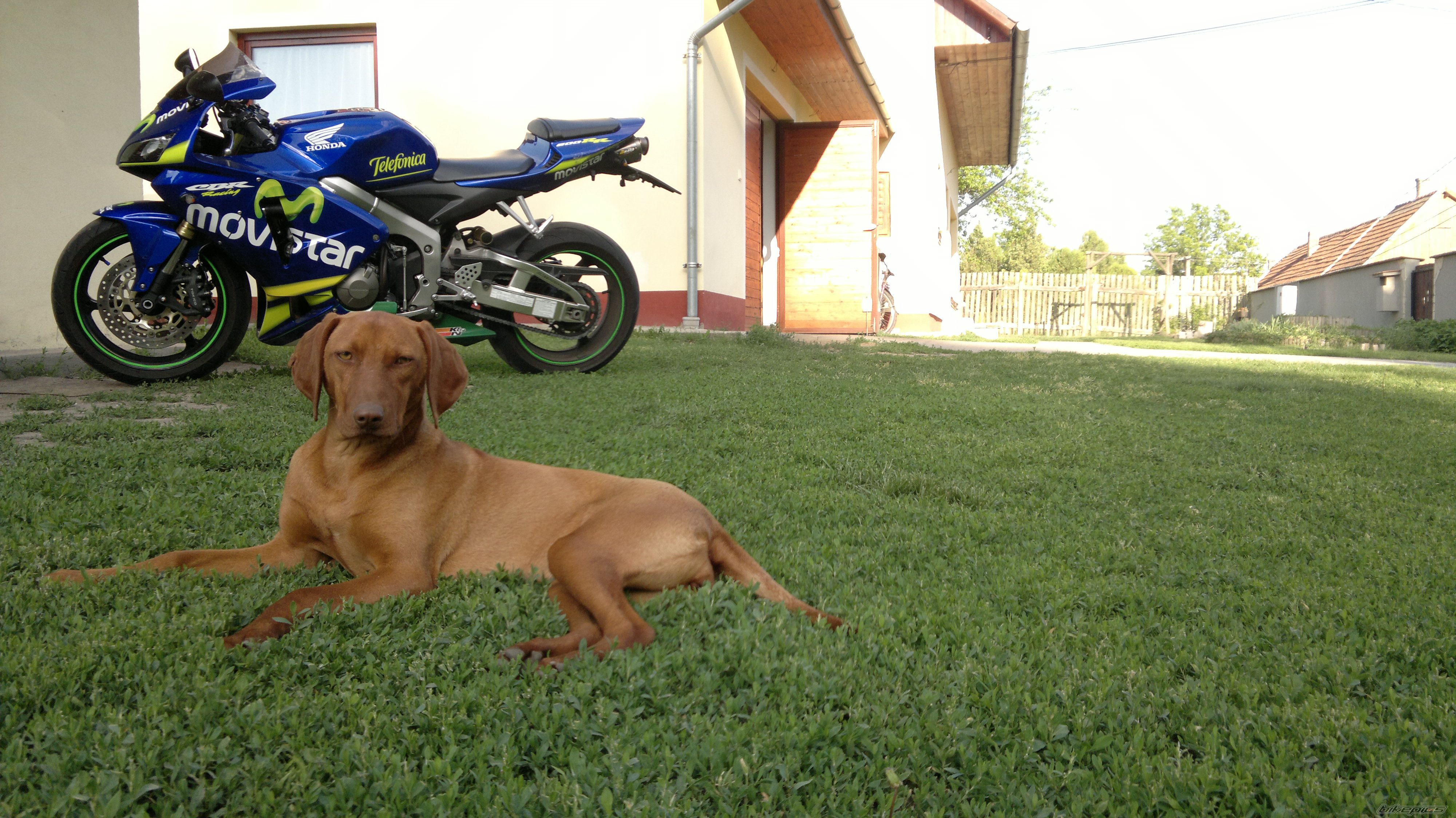 Bike Photo 2461635