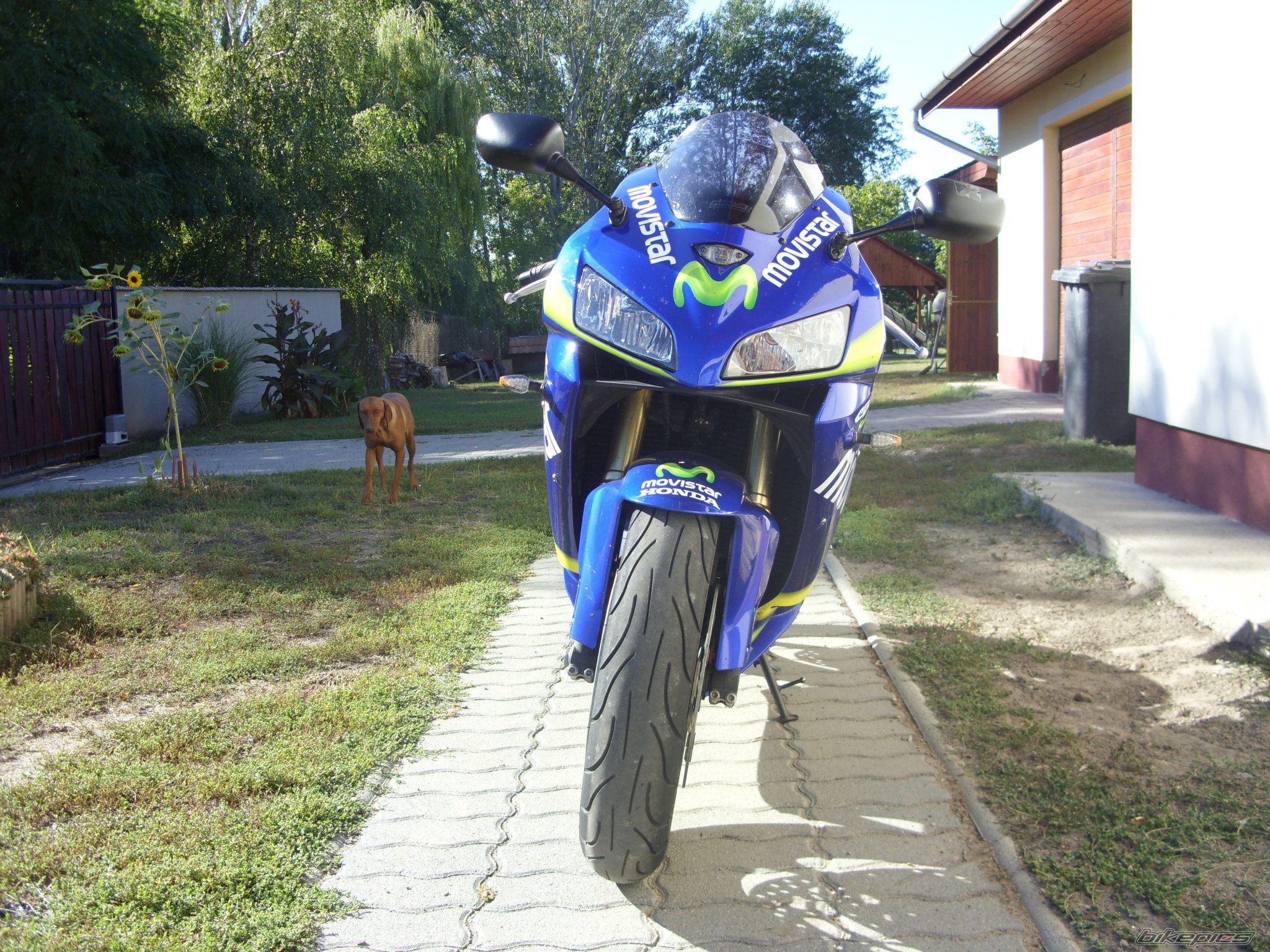 Bike Photo 2461669