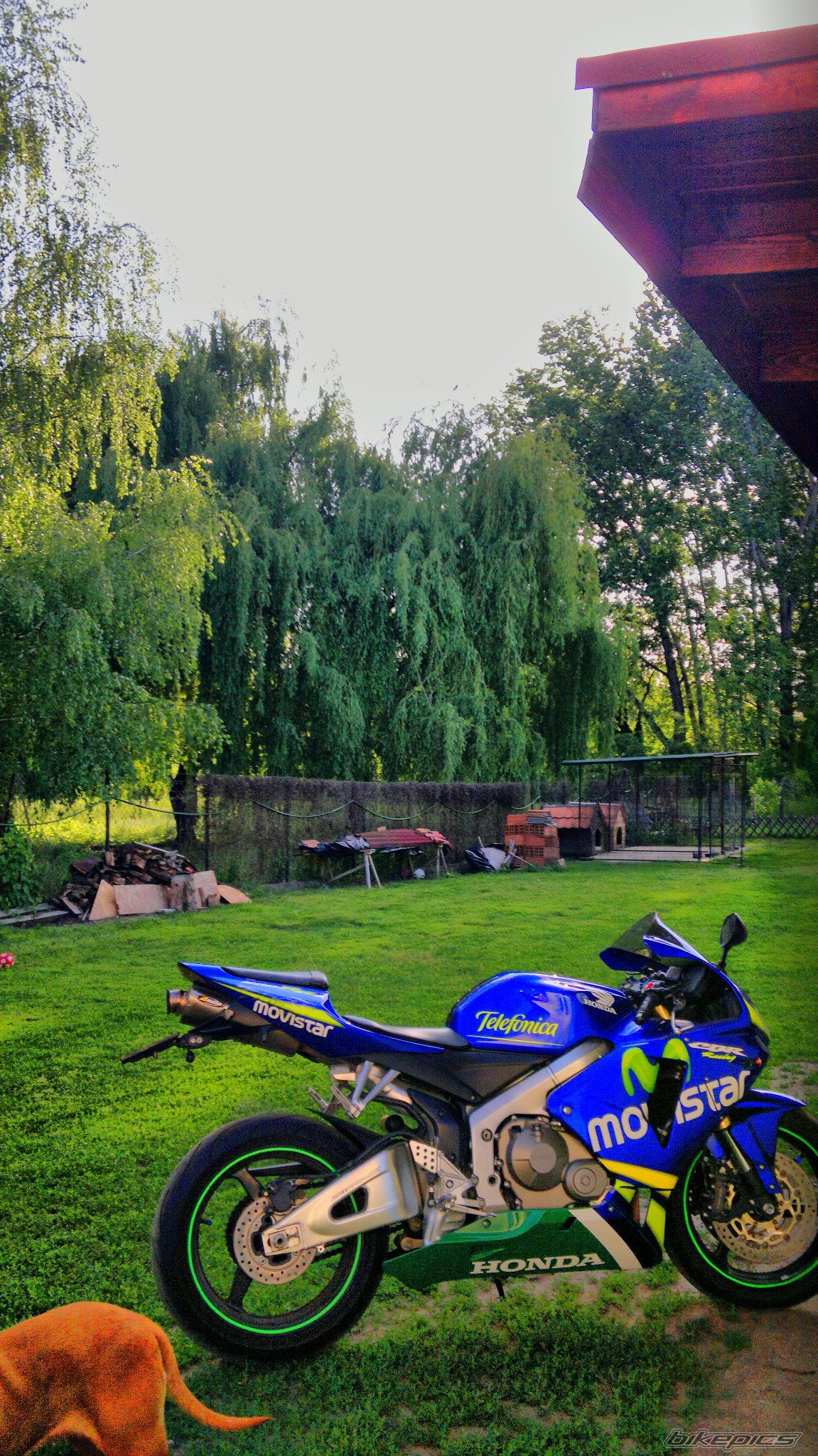 Bike Photo 2461681