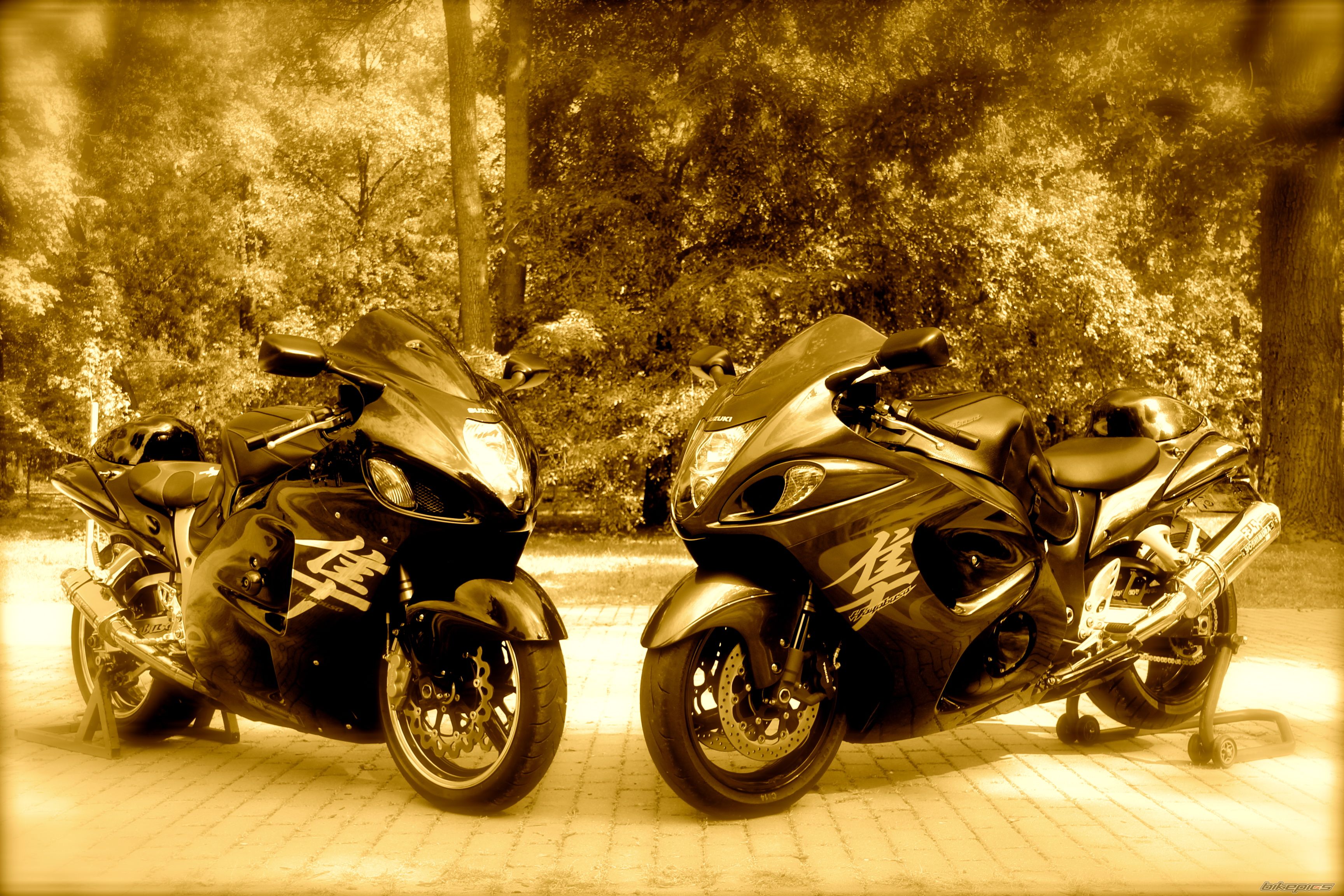 Bike Photo 2461716