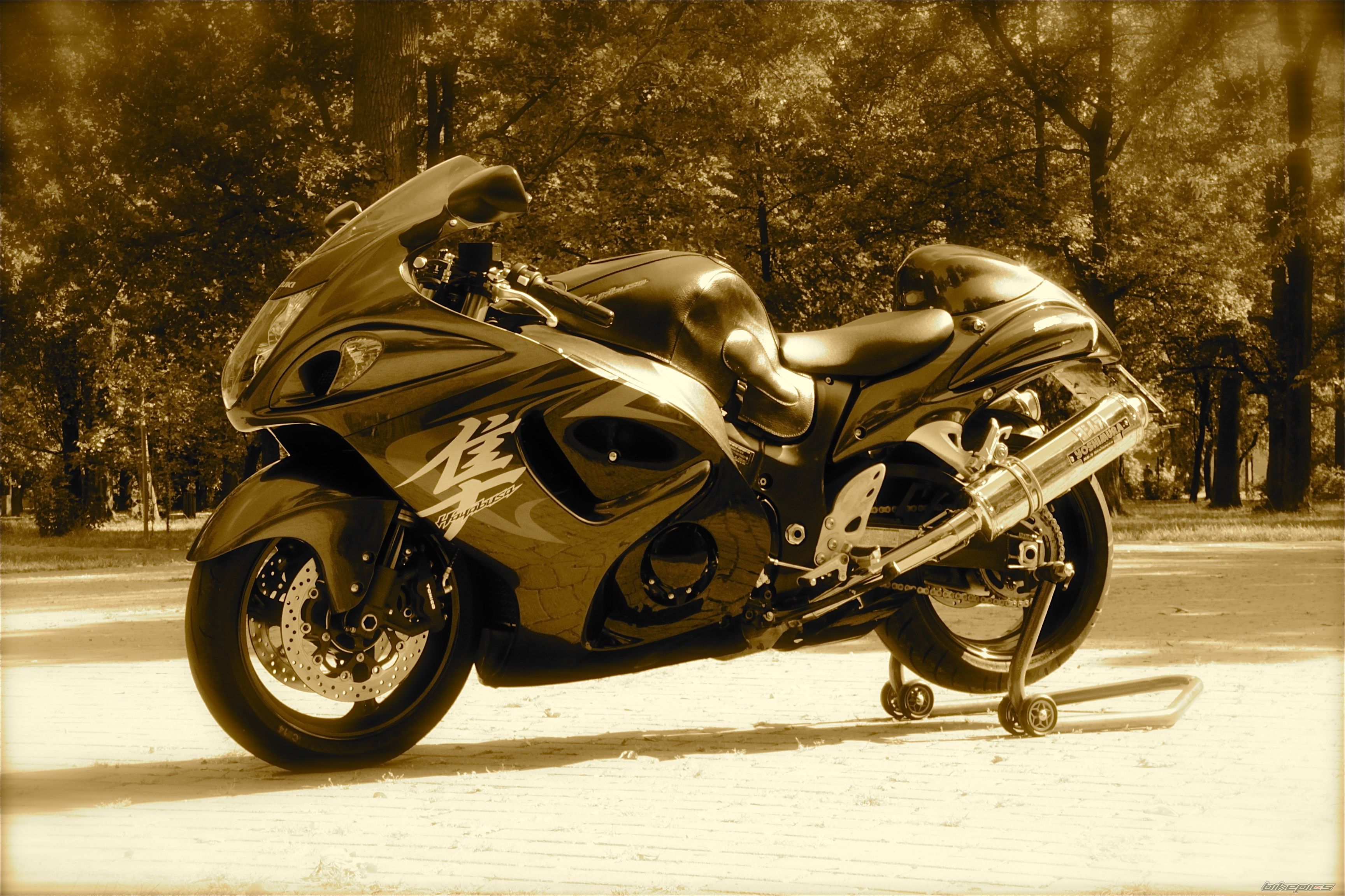 Photo 2461721