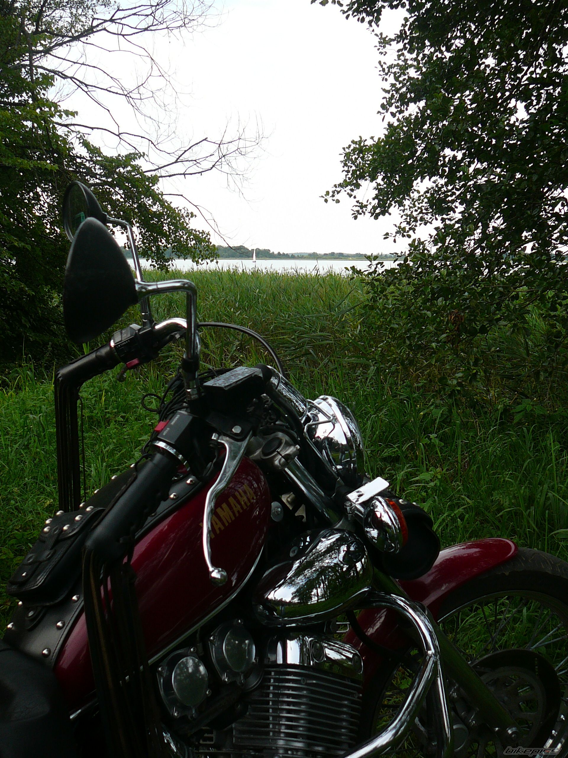 Photo 2461754