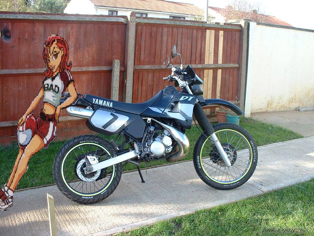 Bike Photo 246196