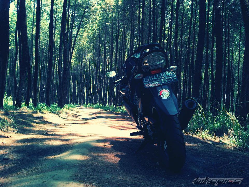 Photo 2462085