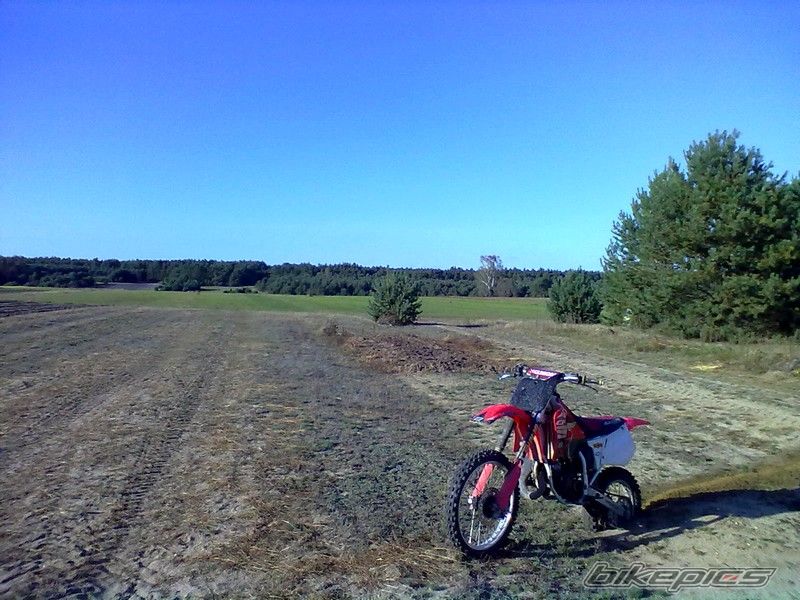 Photo 2462110