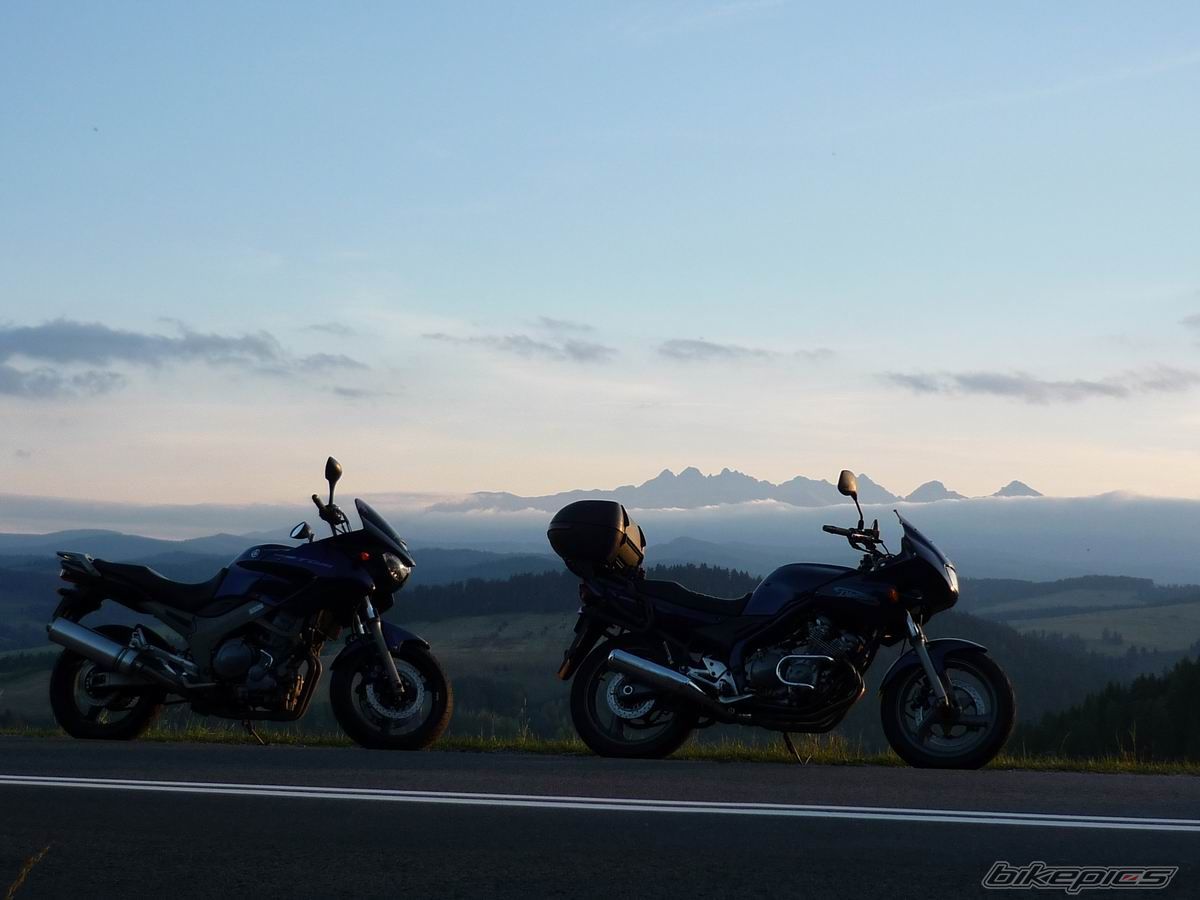 Photo 2462124