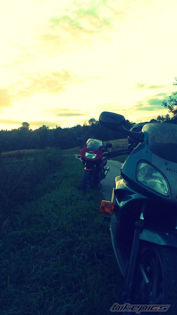 Photo 2462132