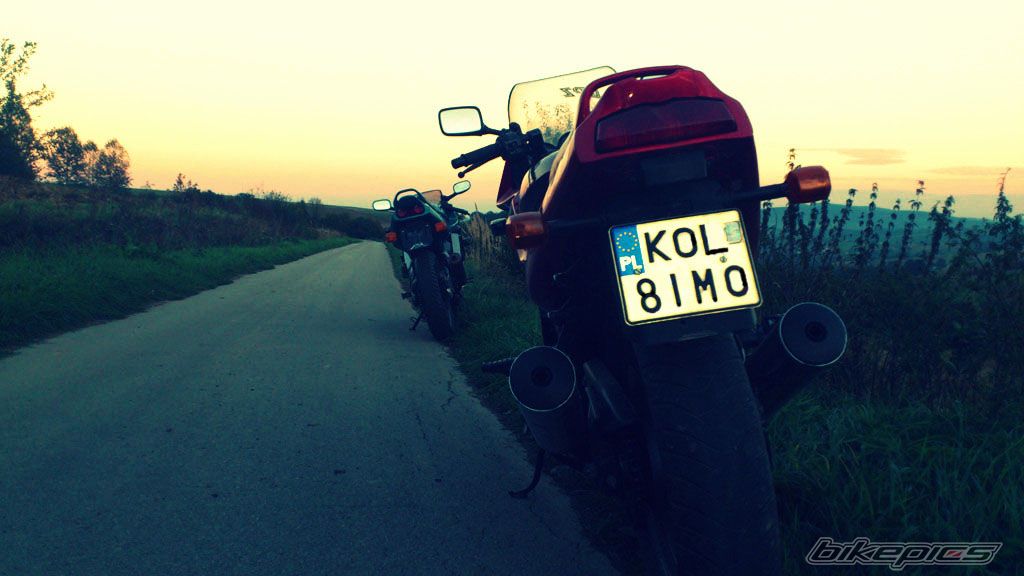 Photo 2462135