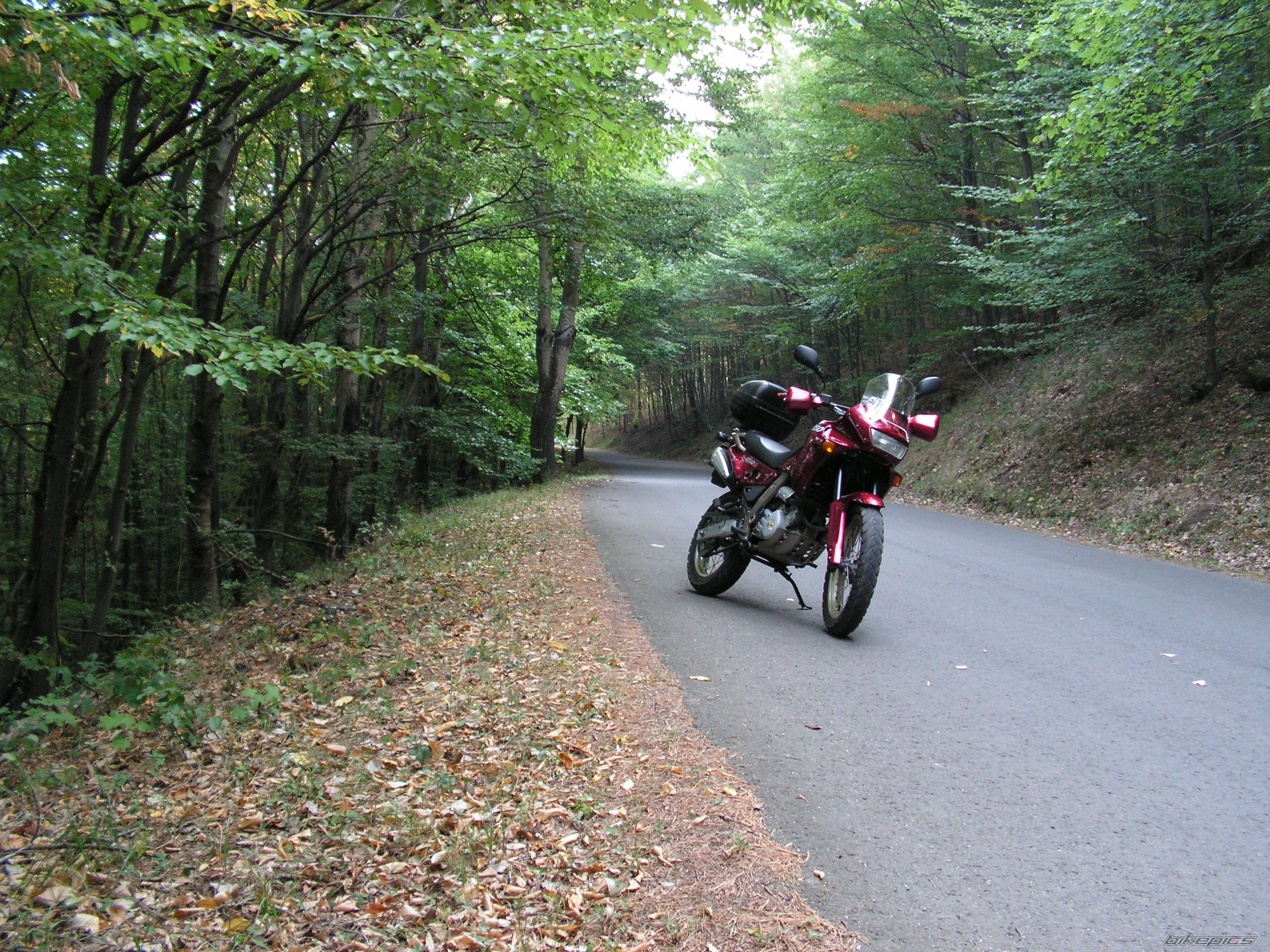 Photo 2462158