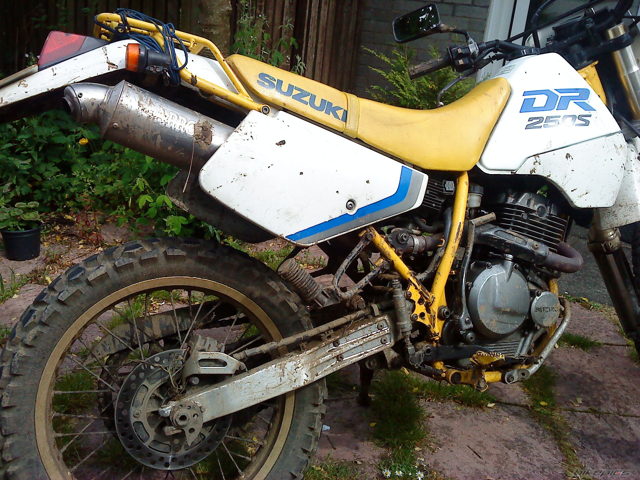 Photo 2462268